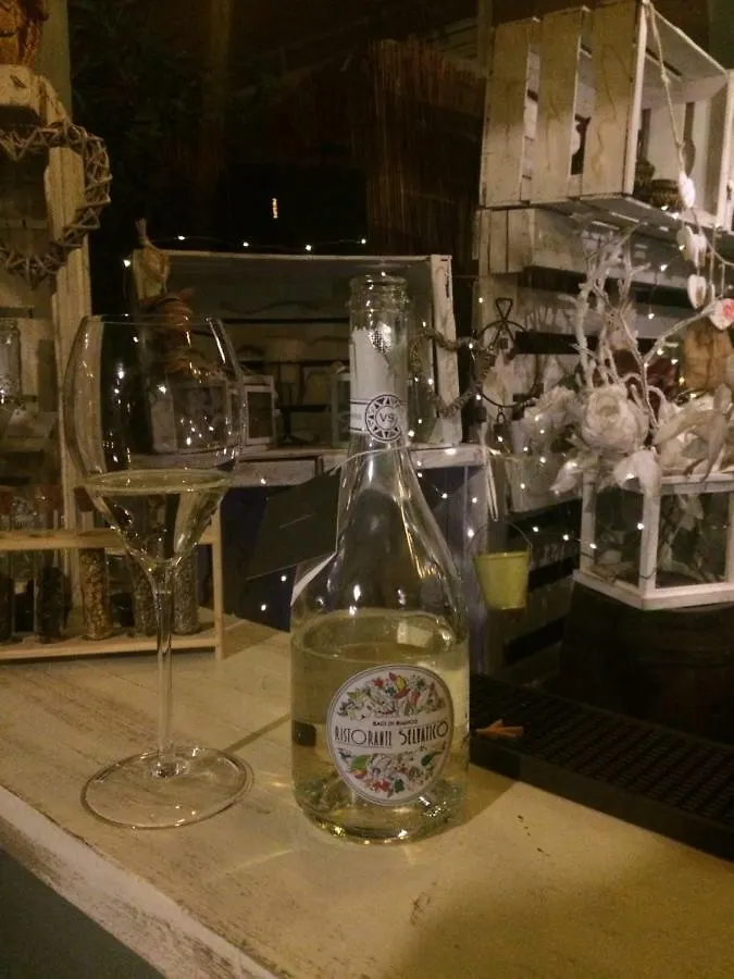 Albergo & Ristorante Selvatico Rivanazzano Terme
